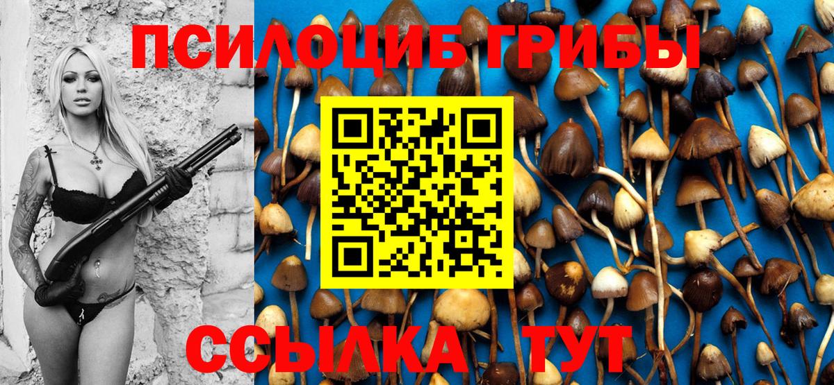 Галлюциногенные грибы Magic Shrooms  Вход с VPN  Батайск  Псилоцибиновые грибы Magic Shrooms 