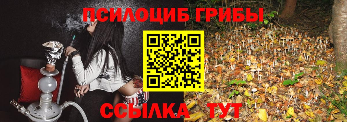Альфа ПВП Батайск